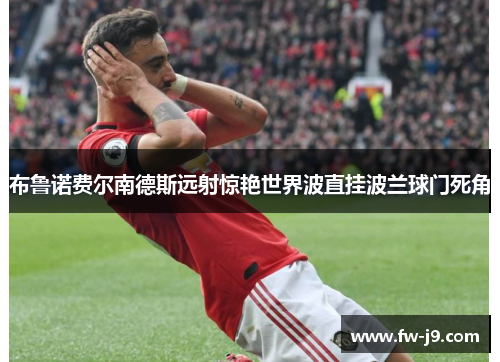 布鲁诺费尔南德斯远射惊艳世界波直挂波兰球门死角