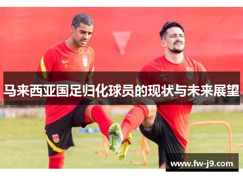 马来西亚国足归化球员的现状与未来展望 马来西亚国足归化球员的现状与未来展望